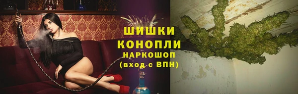 прущие грибы Абинск
