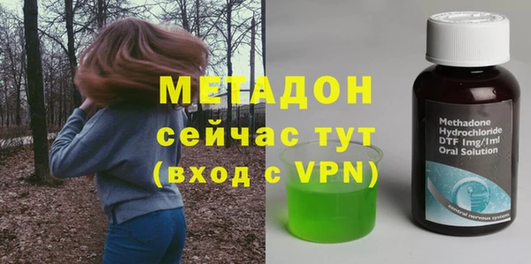 прущие грибы Абинск