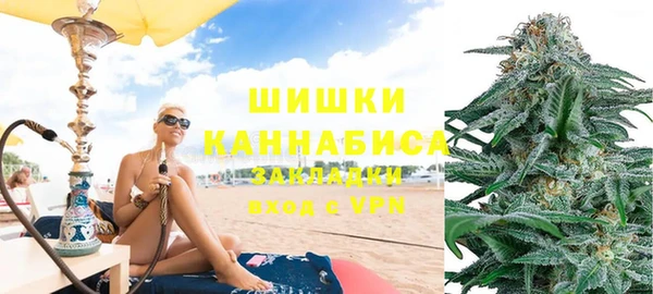 индика Заволжск
