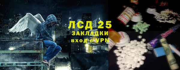 прущие грибы Абинск