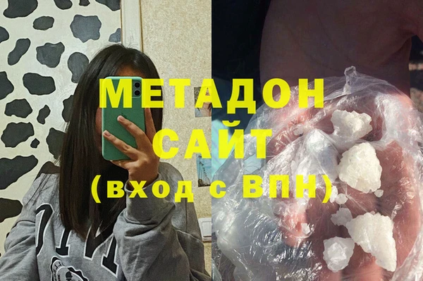 прущие грибы Абинск