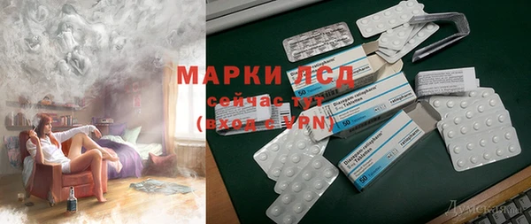 прущие грибы Абинск